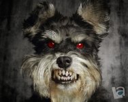 evil dog (4).jpg