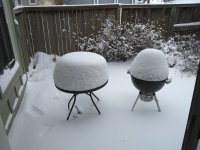 No grilling today.jpg